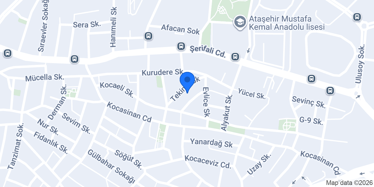LINGURISE International Academy konumu