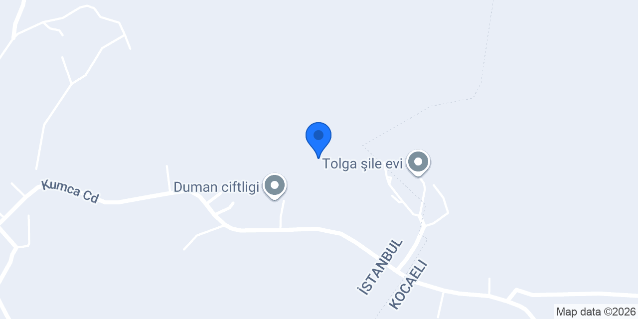 Özgür Şile Ev konumu