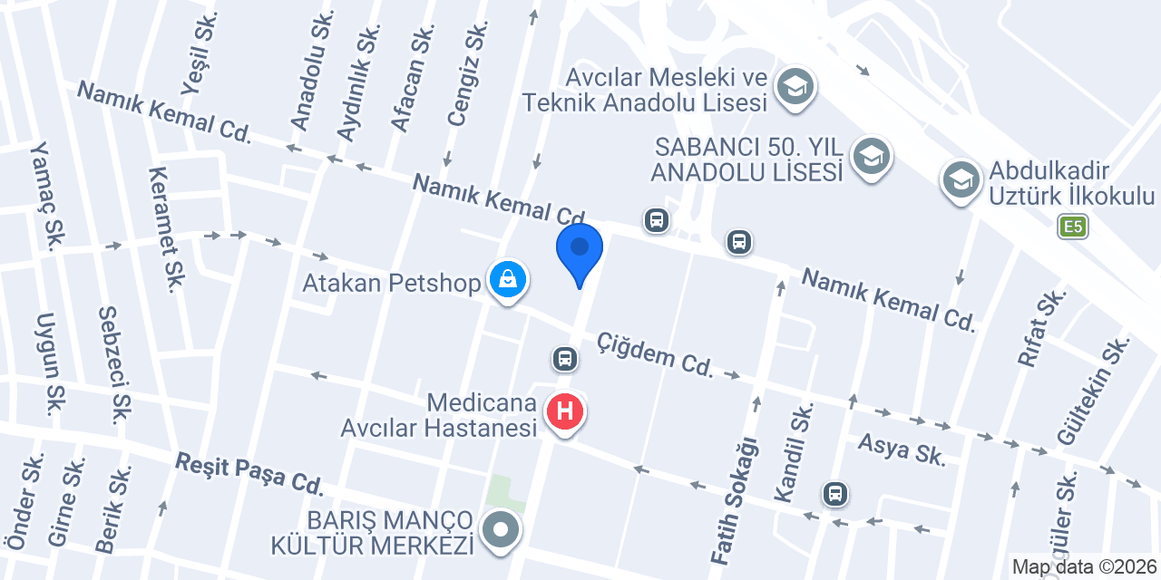 İdis İşitme Cihazları - Avcılar konumu