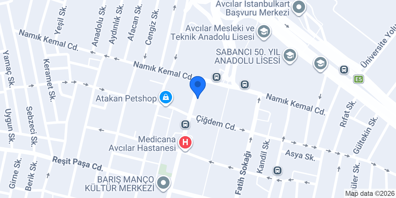 Terzi Zeki konumu