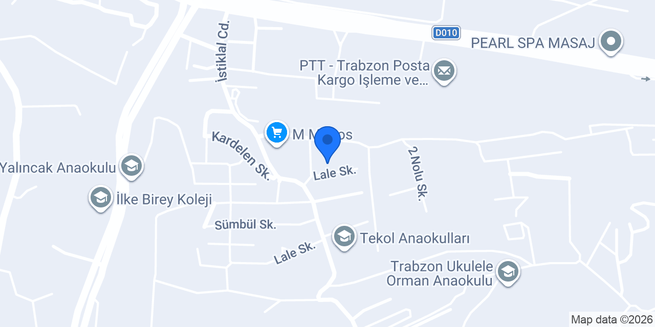 Net Koleji (Ortaokul-Lise) konumu