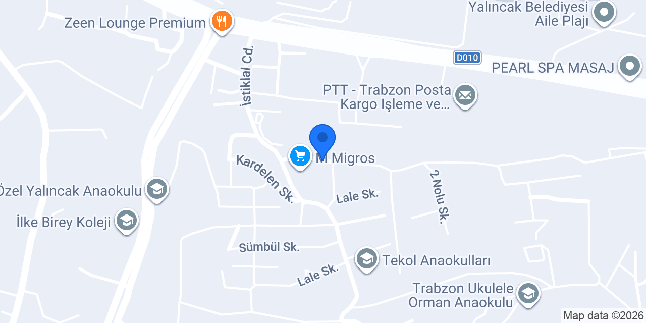 Net Koleji (ilkokul) konumu
