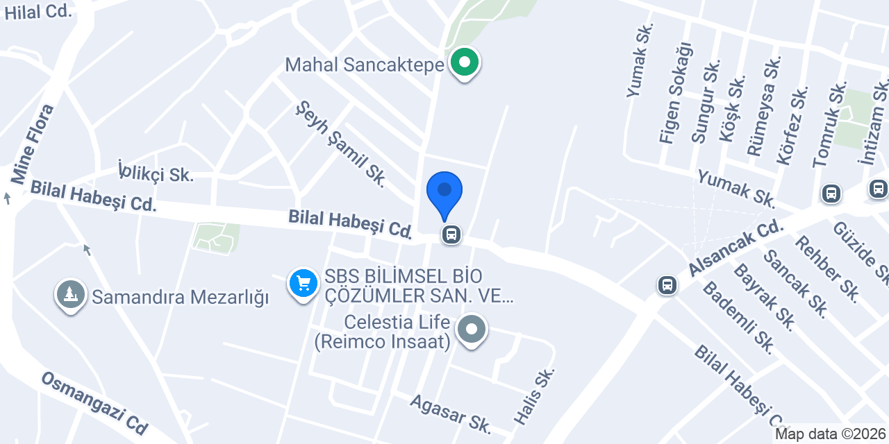 BİRTEK DÜNYA MANAVI konumu
