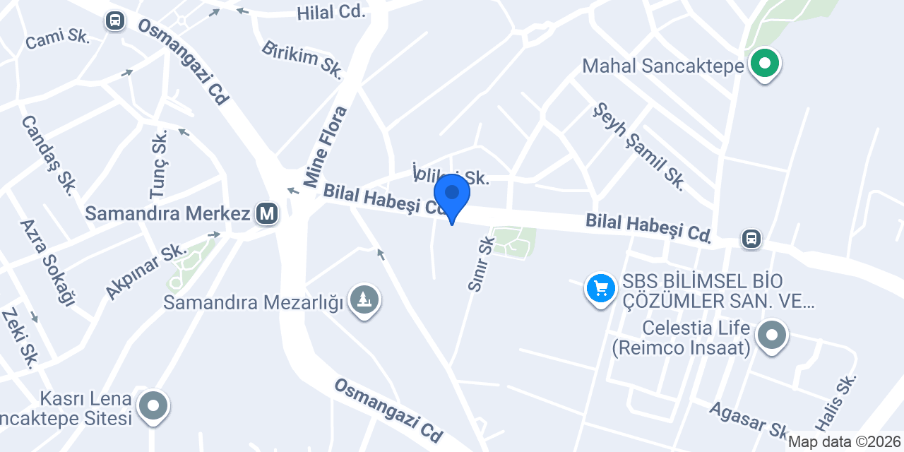 Okumuş Orman Ürünleri konumu