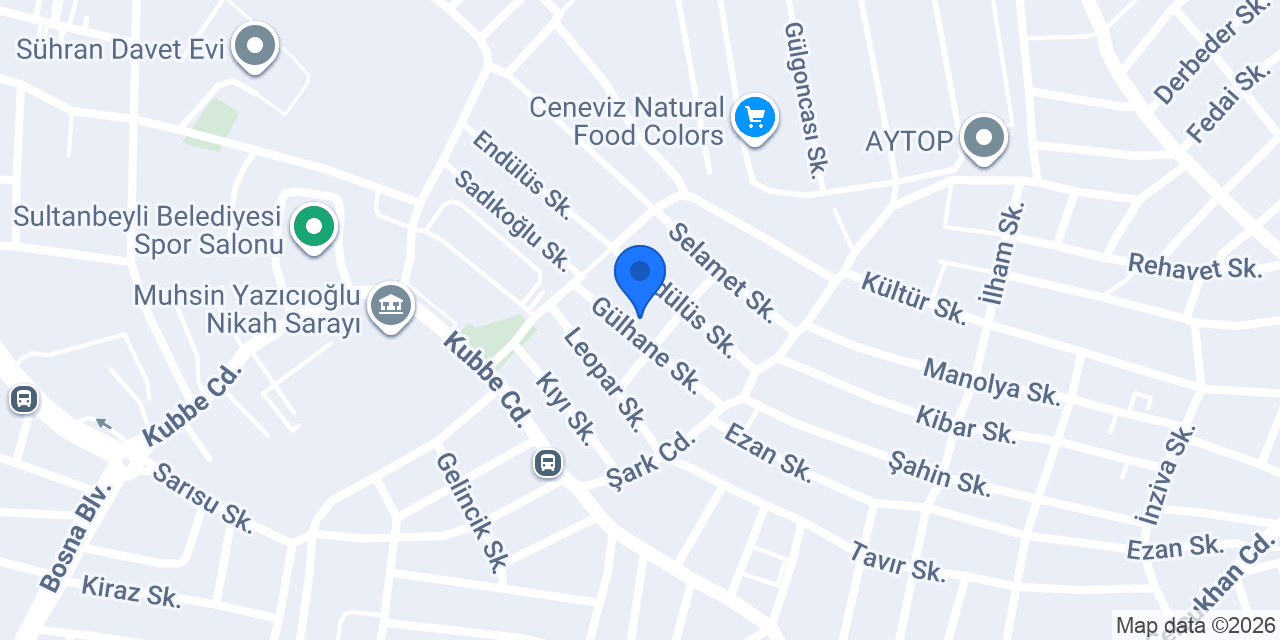 YILDIZ CAR SERVİCE konumu