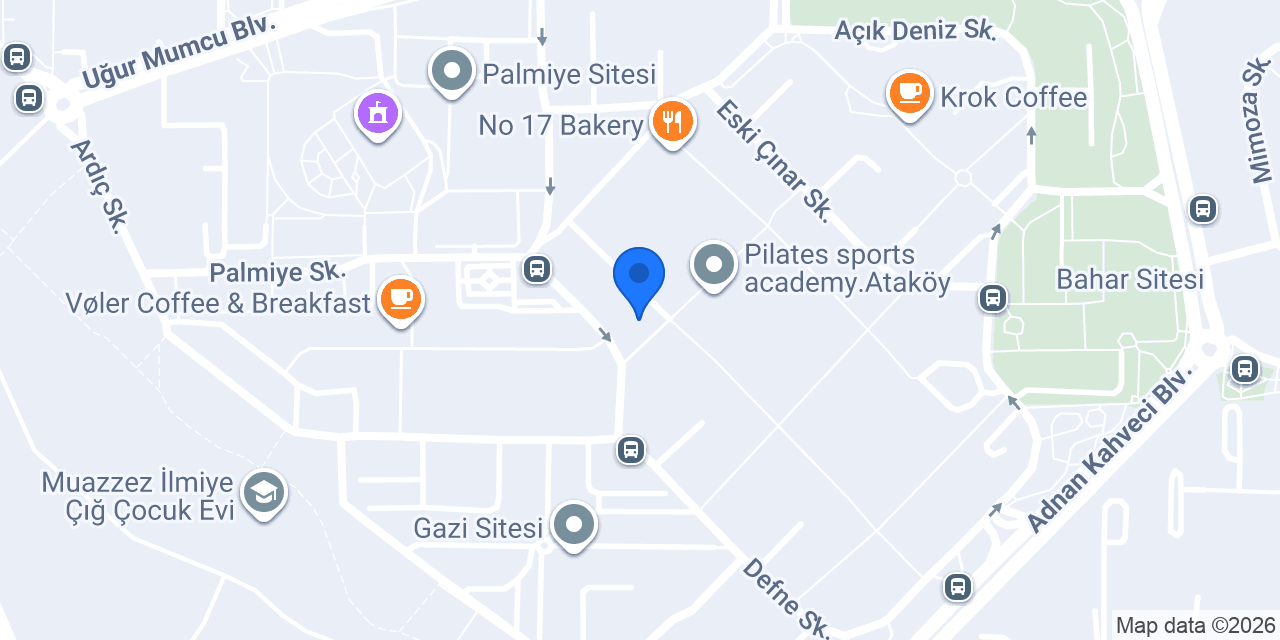 ALES Yurtdışı Eğitim Danışmanlık konumu