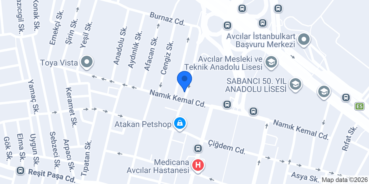 Anı Tur konumu