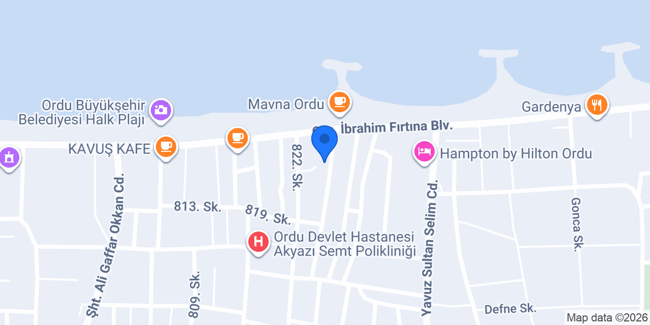 ROKA BALIK ORDU konumu