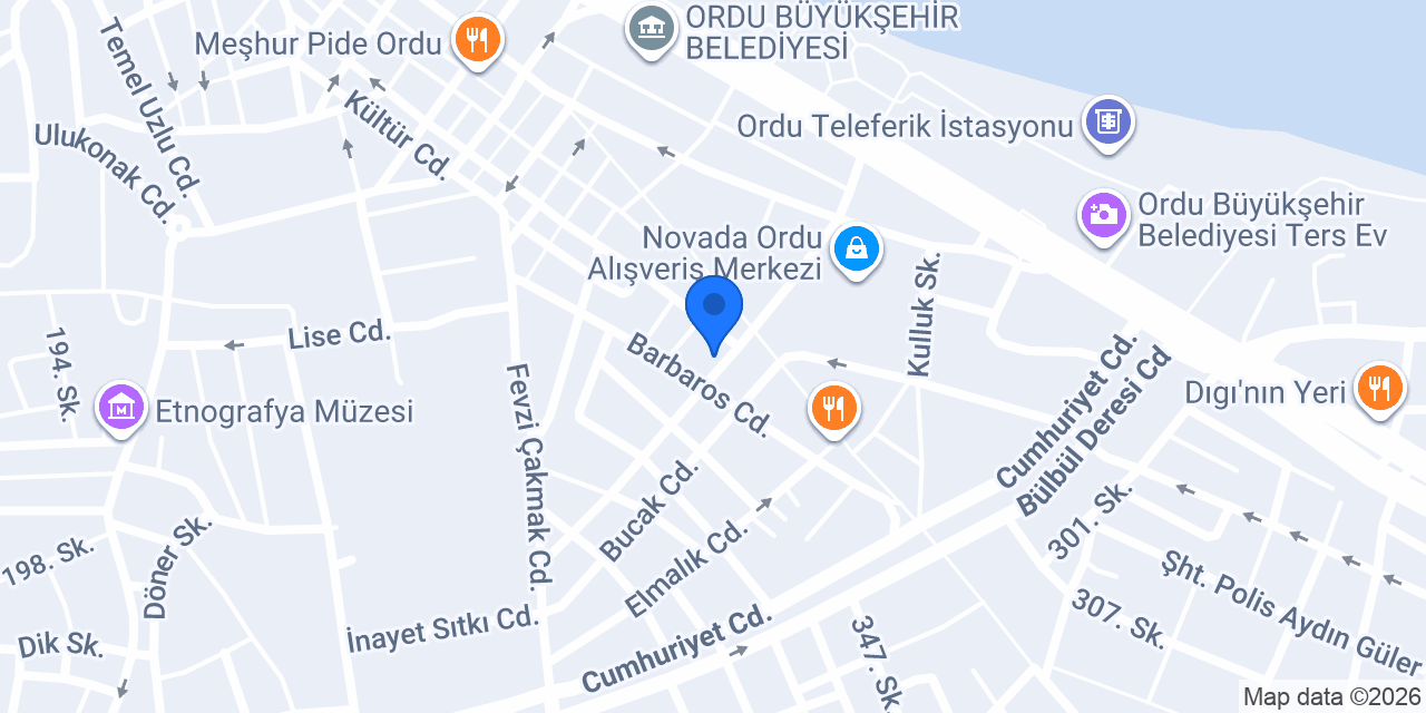 ÖZ ADANA DÜRÜMCÜSÜ ORDU konumu