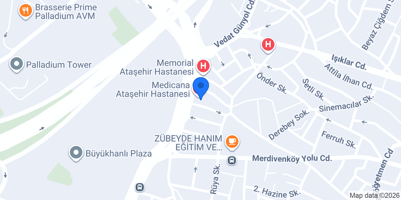 Erdinç Bozkurt konumu