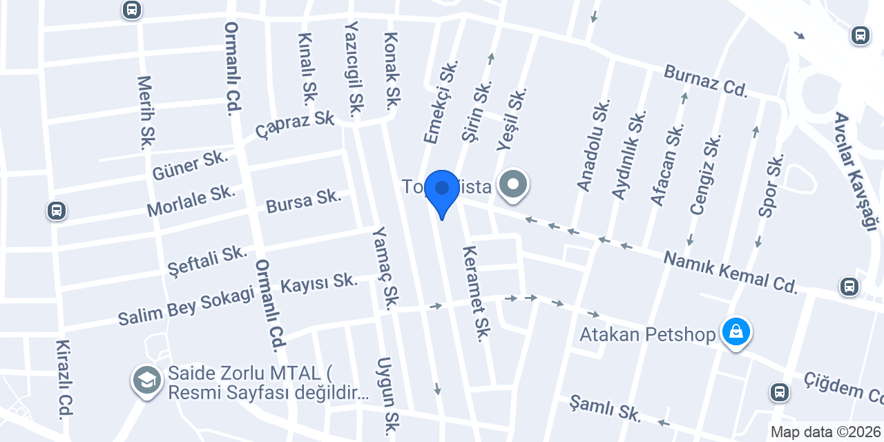 aviz araç kiralama konumu