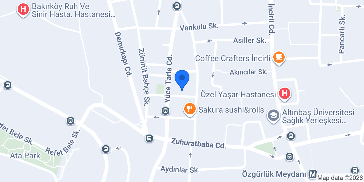 DEMİR KURU TEMİZLEME konumu