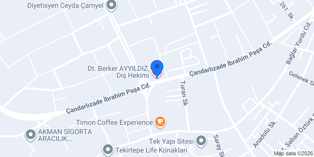 Dt. Berker AYYILDIZ, Diş Hekimi konumu
