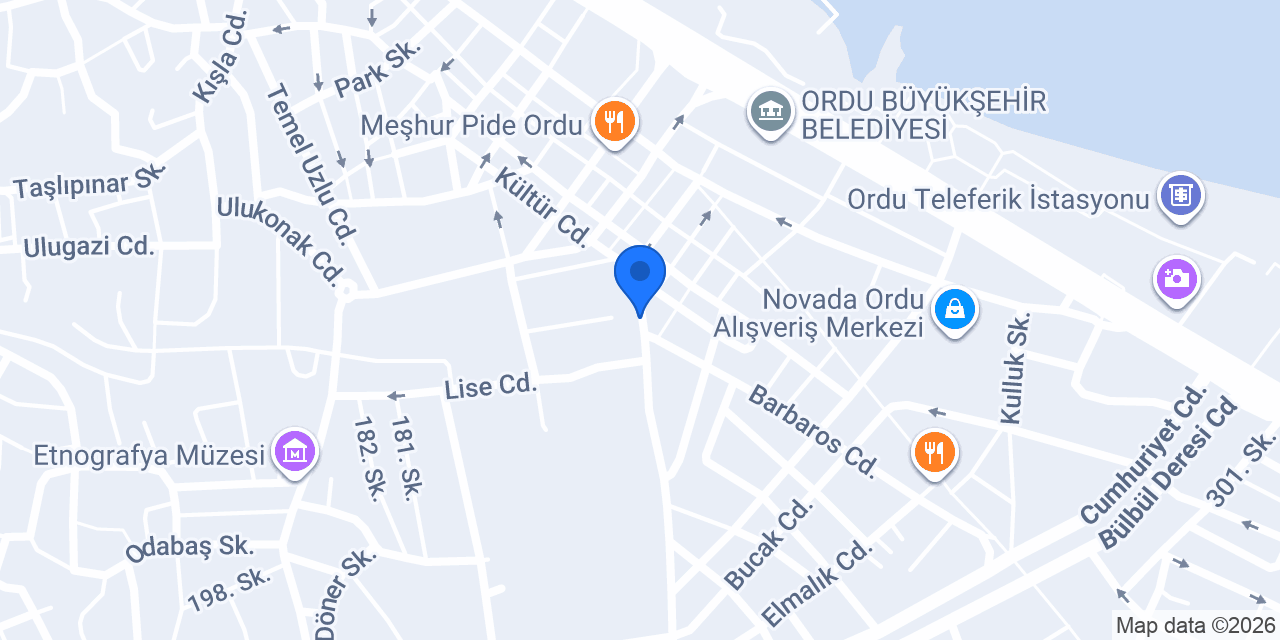 Ordu Havaalanı Transfer konumu