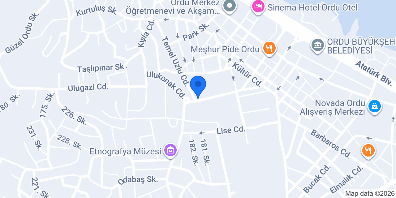 ORDU SARAY HAMAMI konumu
