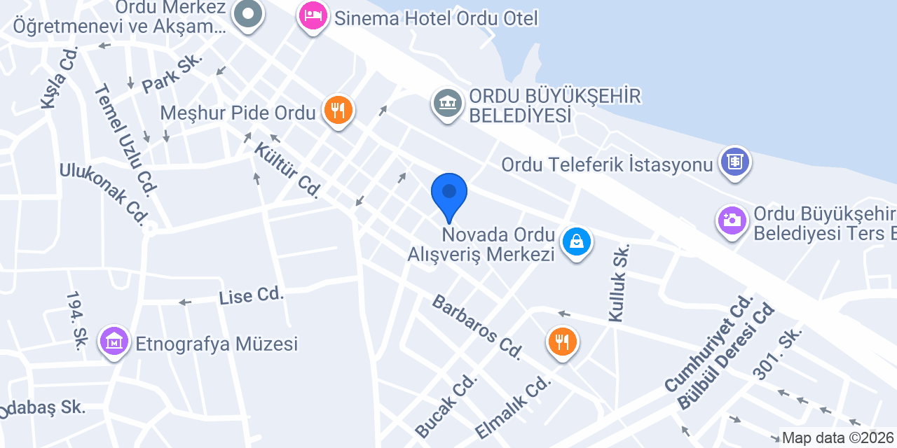 Pasaport Pizza Altınordu konumu