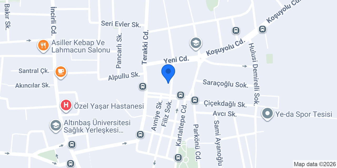 Bakırköy Çınar Kasap konumu