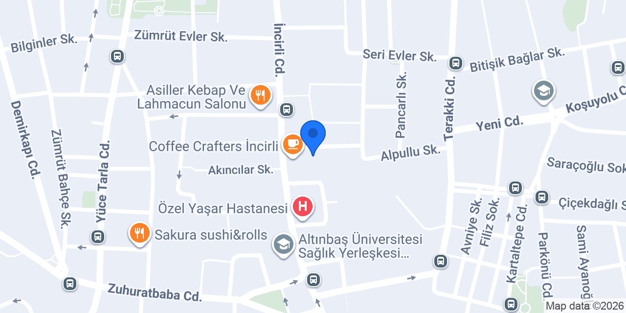 Enso Danışmanlık konumu