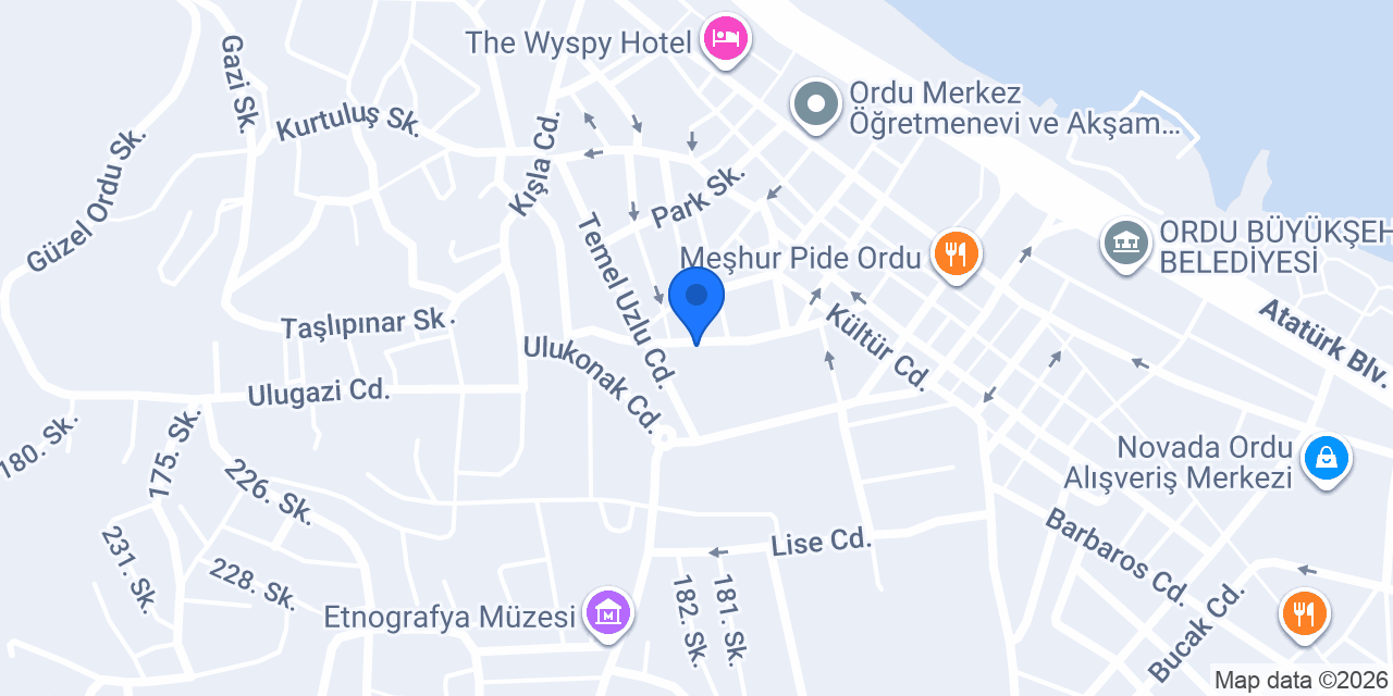 Ordu Elektronik Anahtar konumu