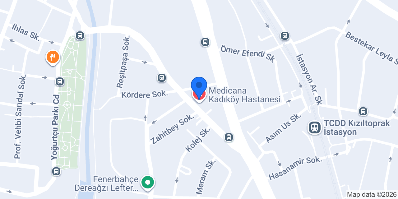 Doç. Dr. Mehmet Güney ŞENOL konumu