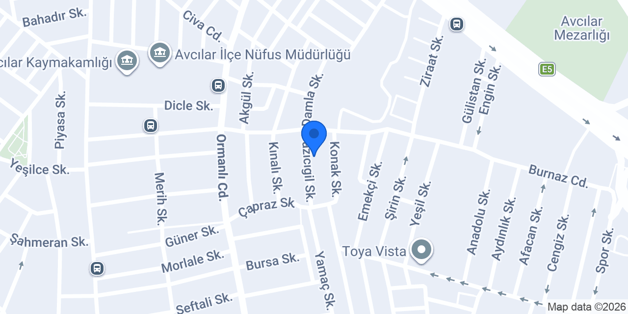 Zengin Teknik konumu