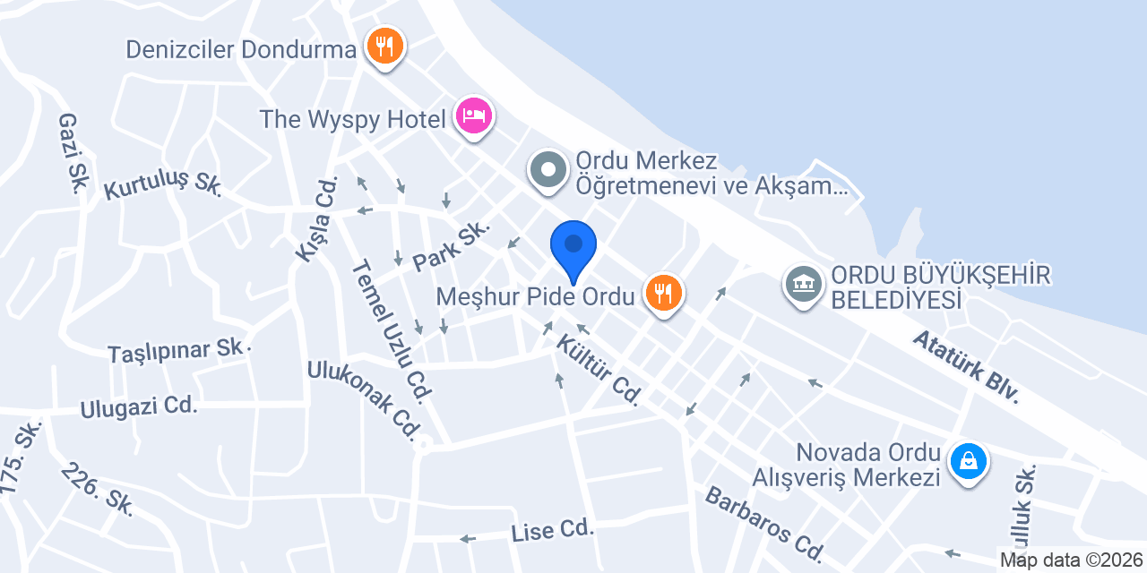 D DİAMOND ORDU konumu