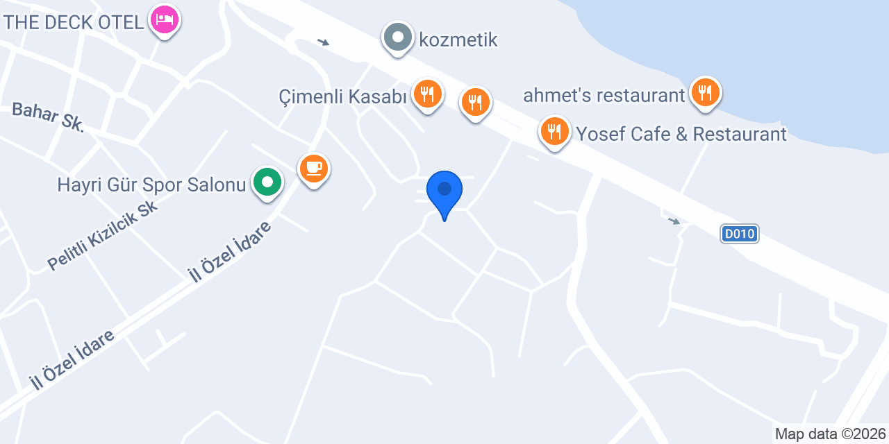 VİŞÇA ELEKTRİK konumu