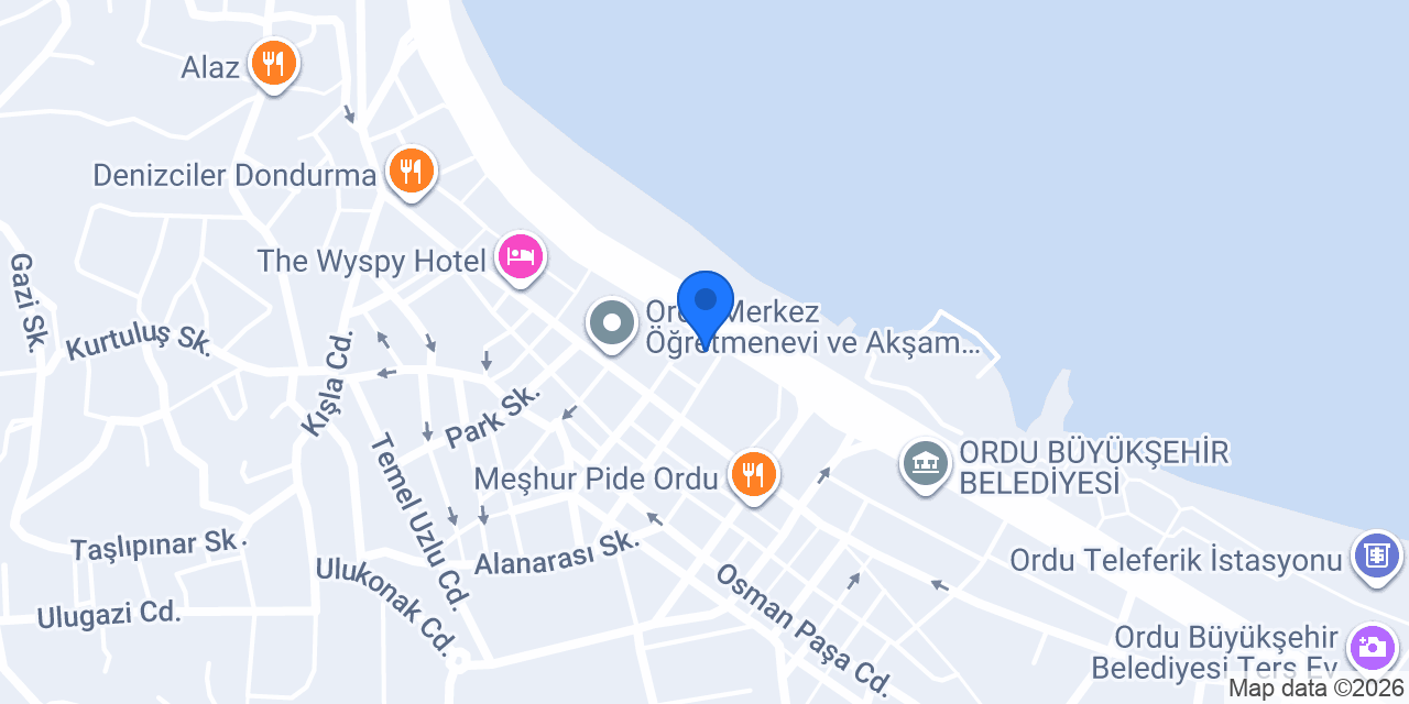 Sinema Hotel Ordu Otel konumu