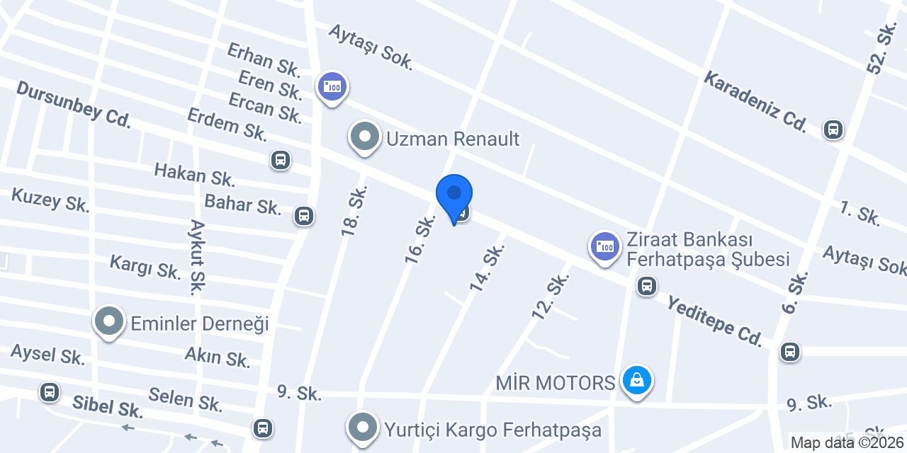 Aslan elektrik konumu