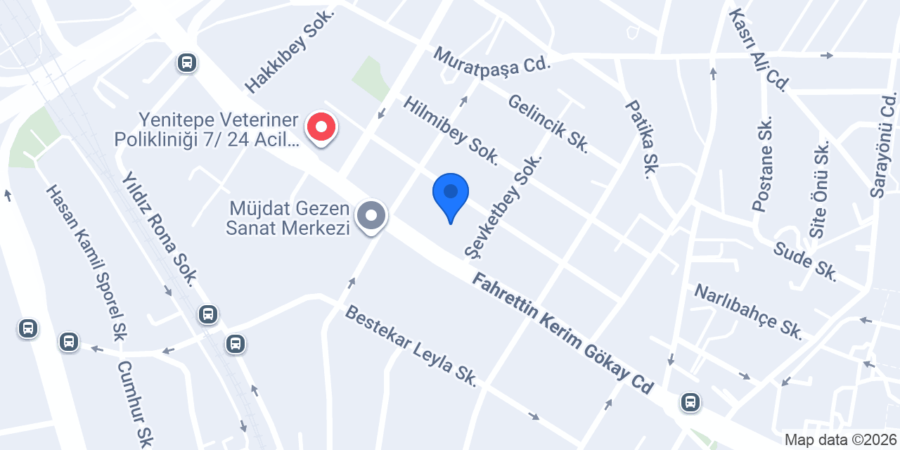 Fizyoterapist Eda Nur Has konumu