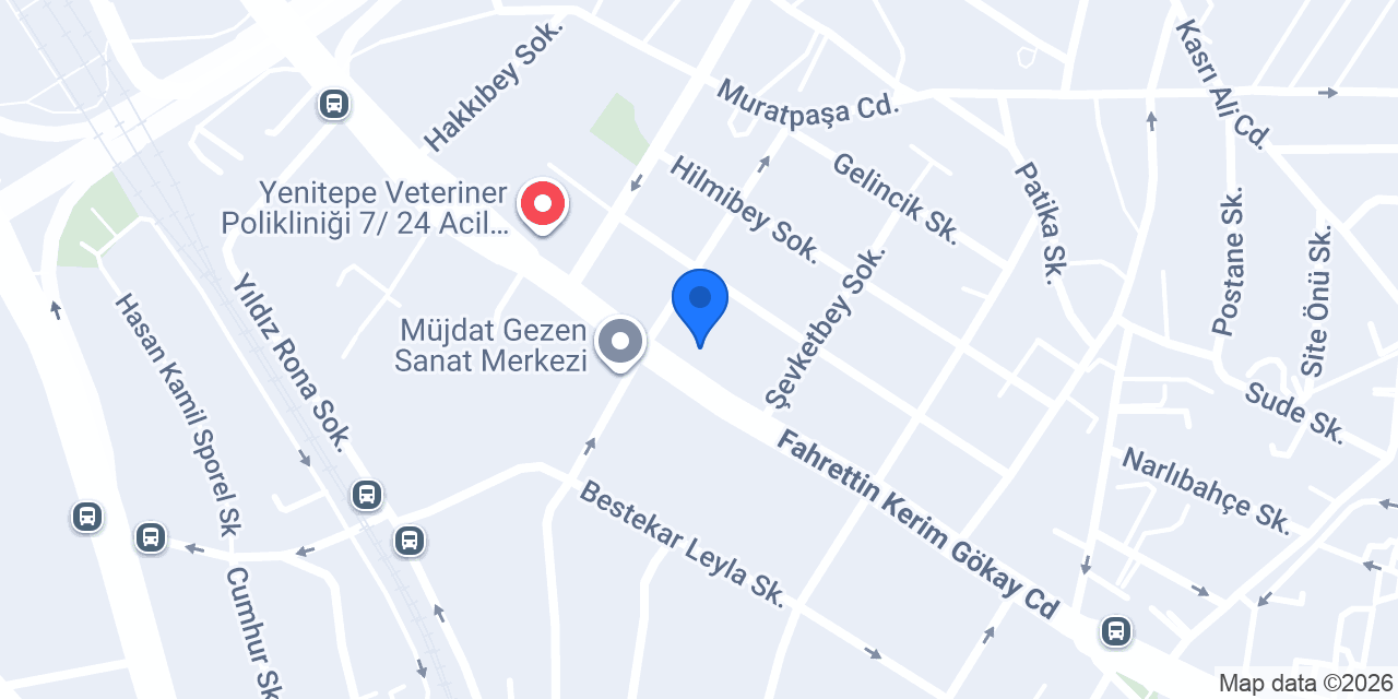 Garanti Hasar konumu