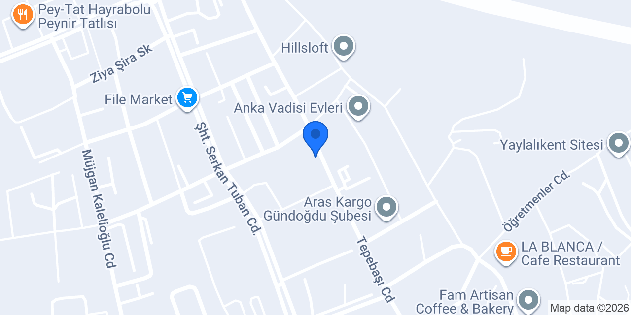 Aslan et kasap konumu