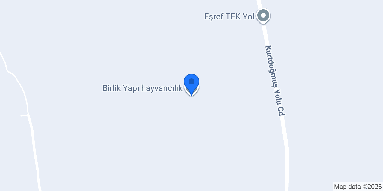 Birlik Yapı hayvancılık konumu