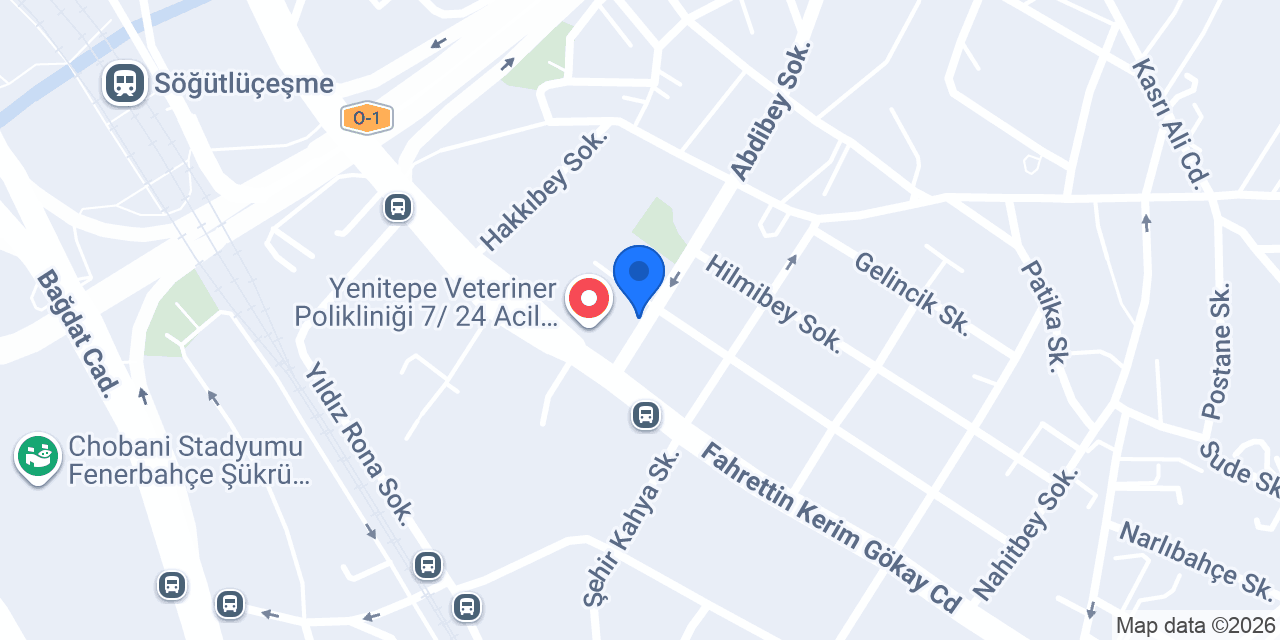 ACAR HAN EMLAK İNŞAAT konumu