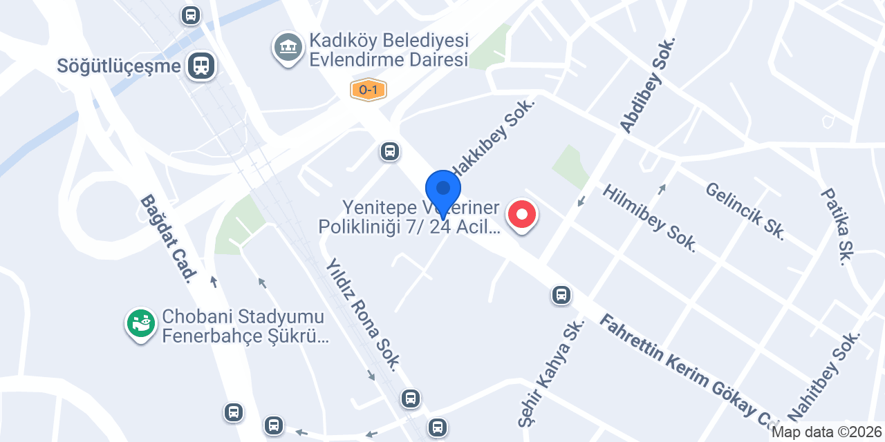 Eminevim Kadıköy Şube konumu