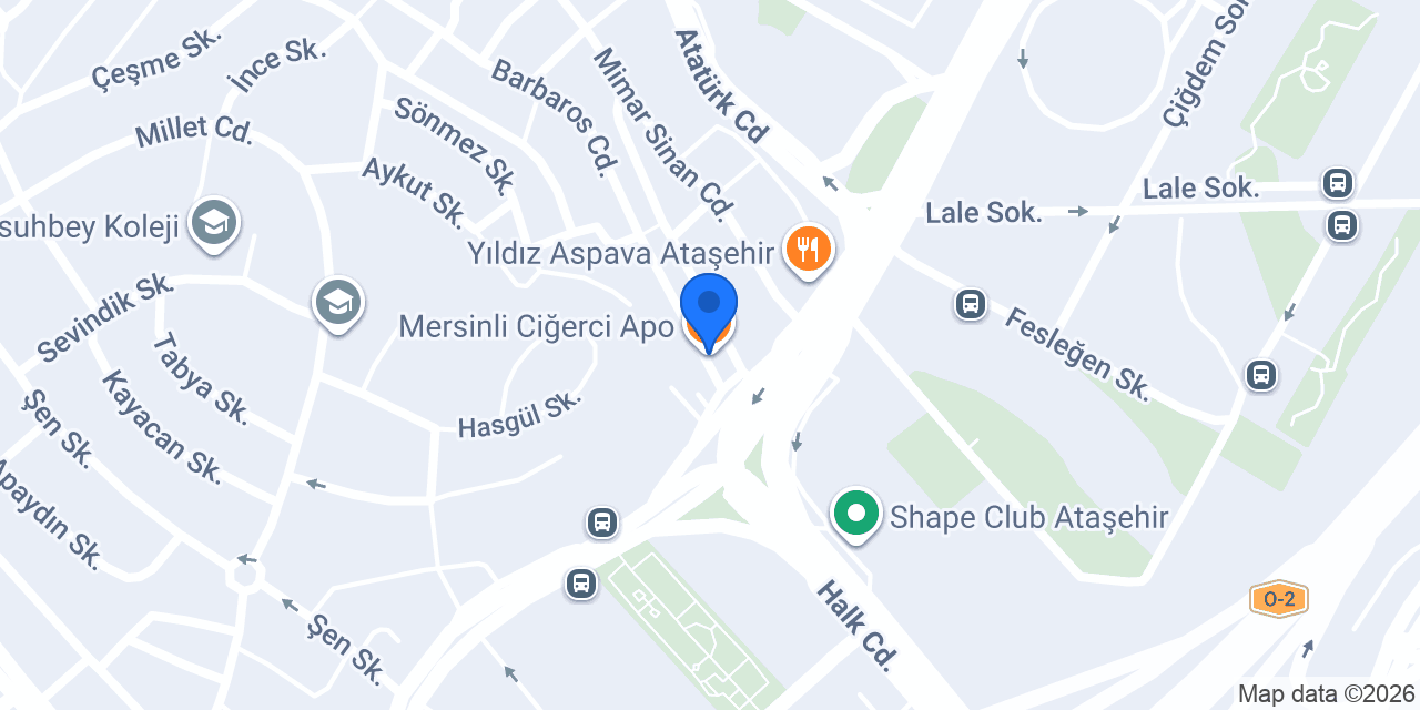 Mersinli Ciğerci Apo konumu