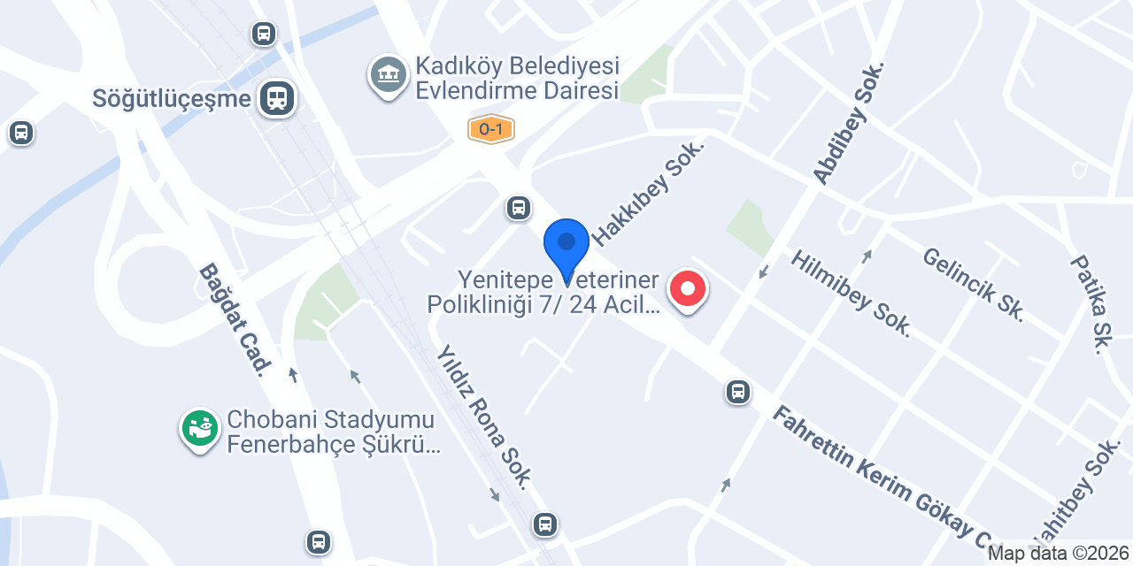 İskender Erkek Kuaförü konumu