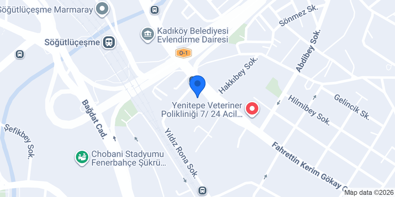 Enoc Yapı konumu