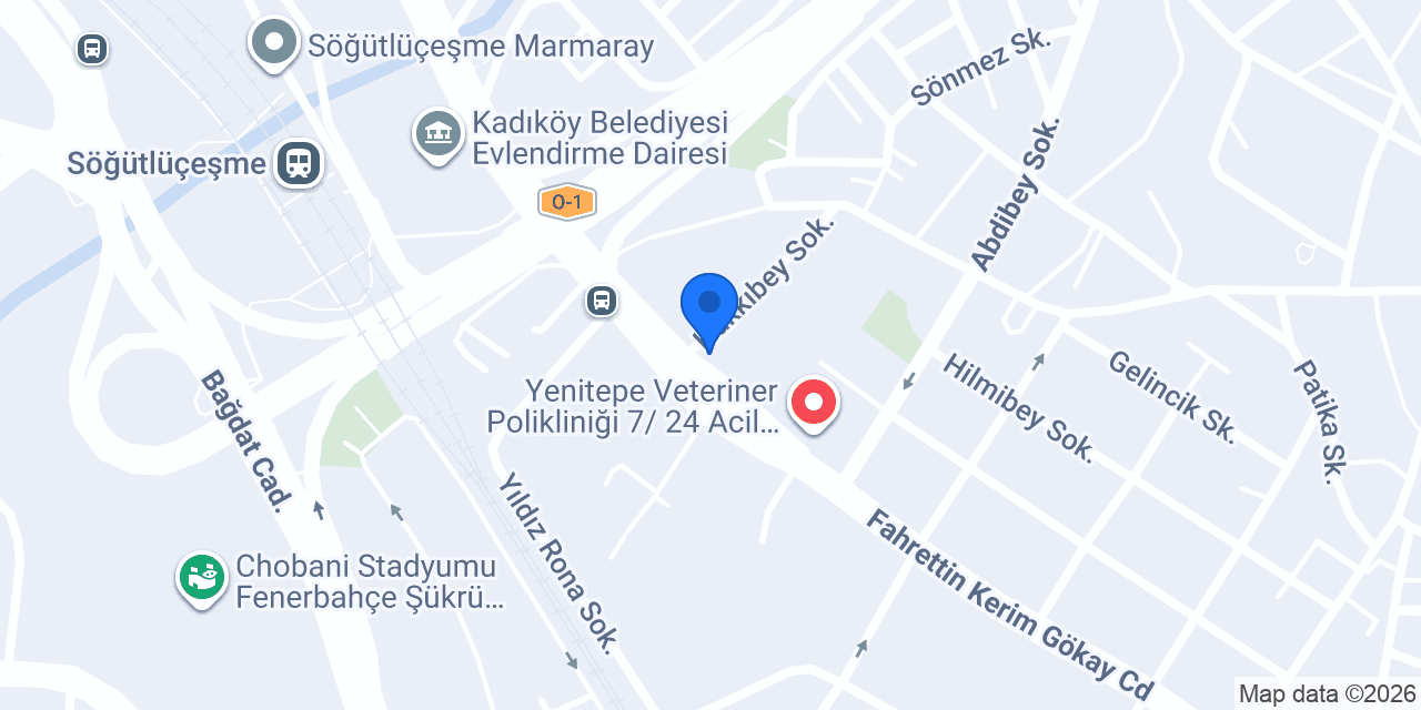 Ayşın Kızılkaya Selvi konumu