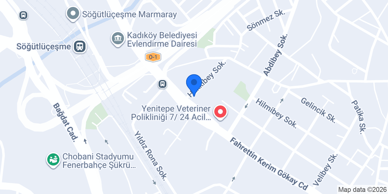 Sürücü İnşaat konumu
