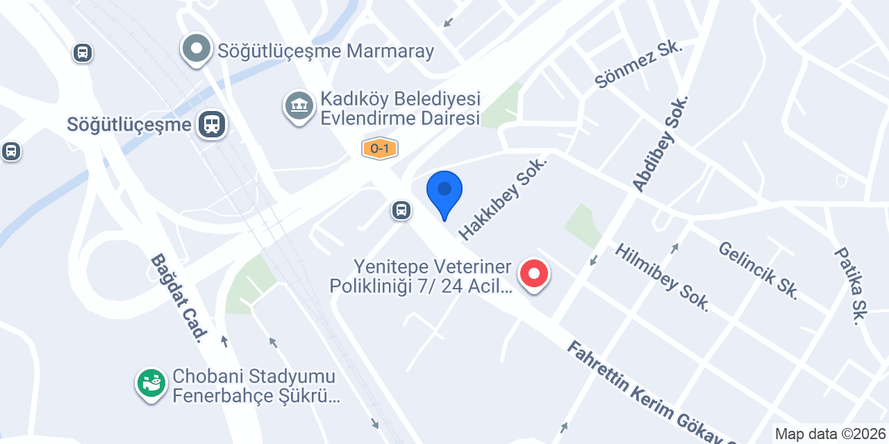 Alvera Group konumu