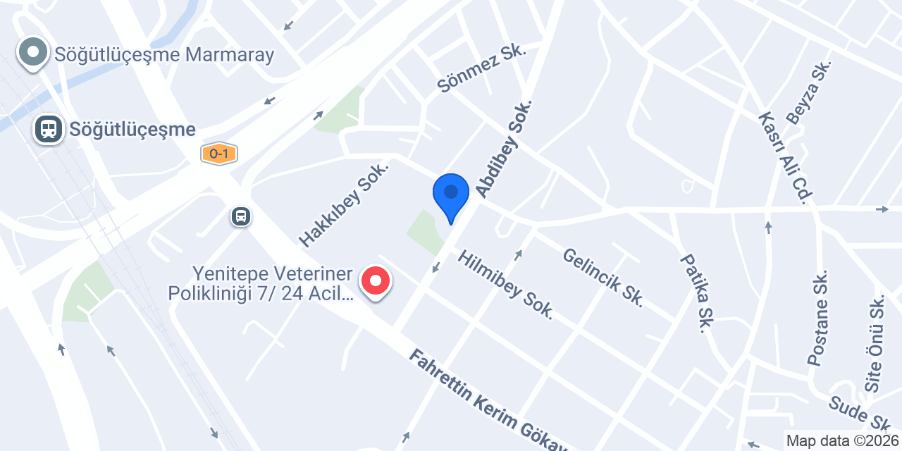 Sena Ev Yemekleri konumu