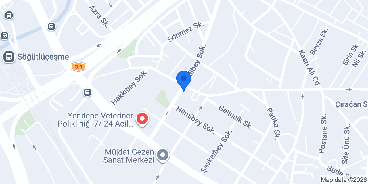 Damak sanatı konumu