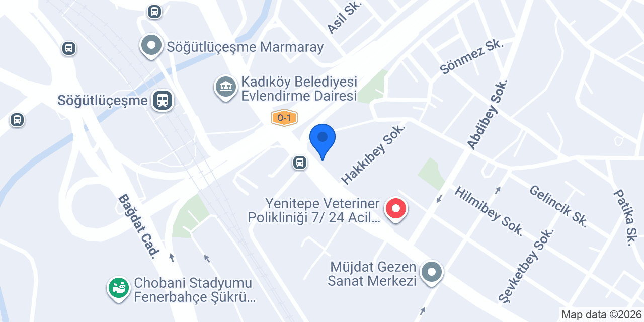 Esta Sigorta konumu