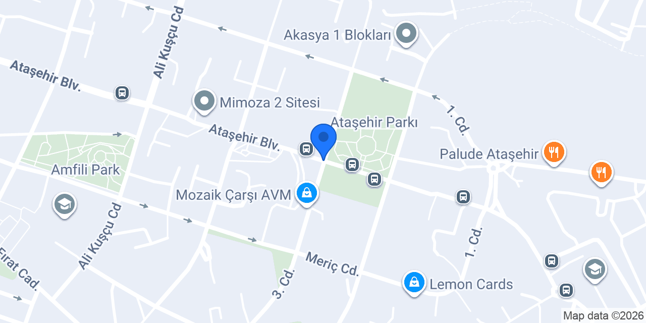 Lisa Web Tasarım konumu