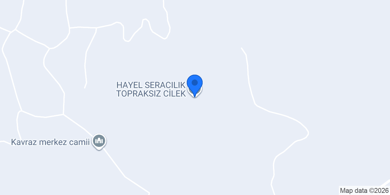 HAYEL SERACILIK TOPRAKSIZ CİLEK konumu