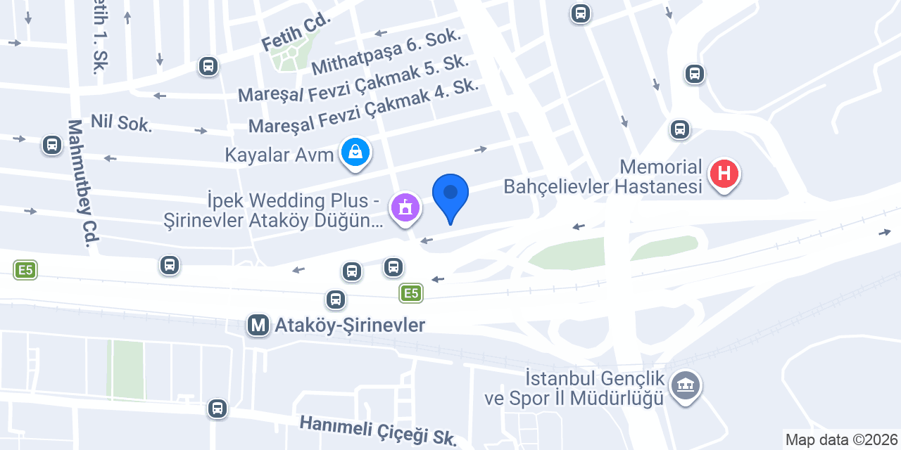 DAL Elektrik konumu