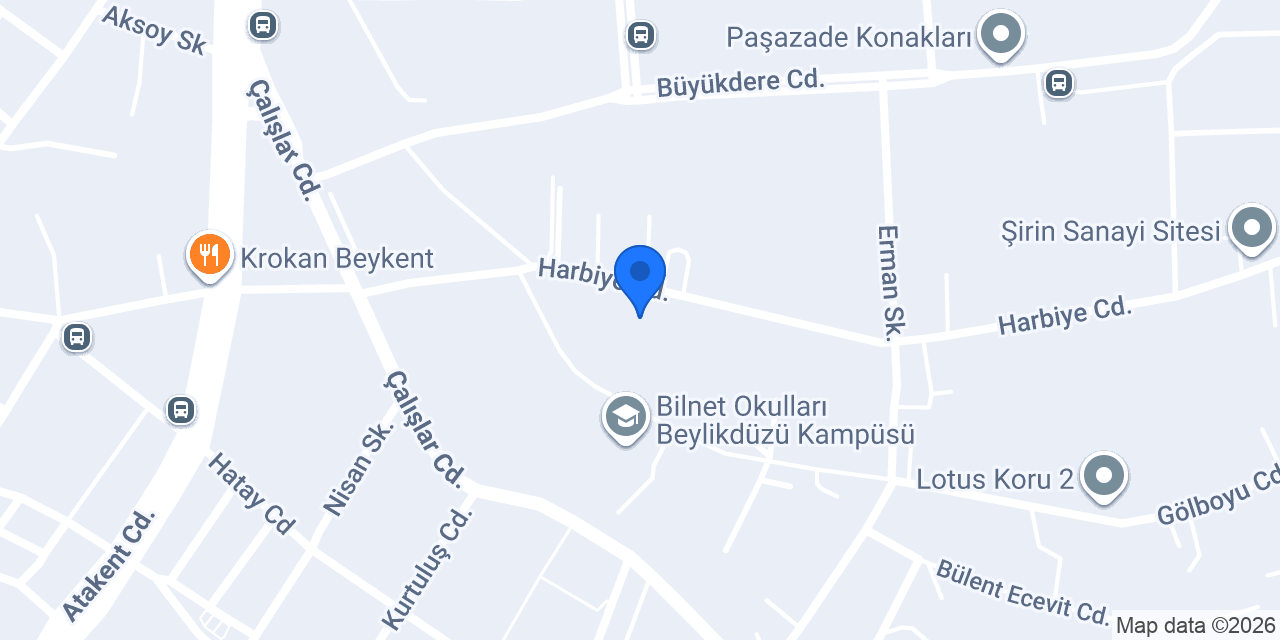Vize Tescil konumu