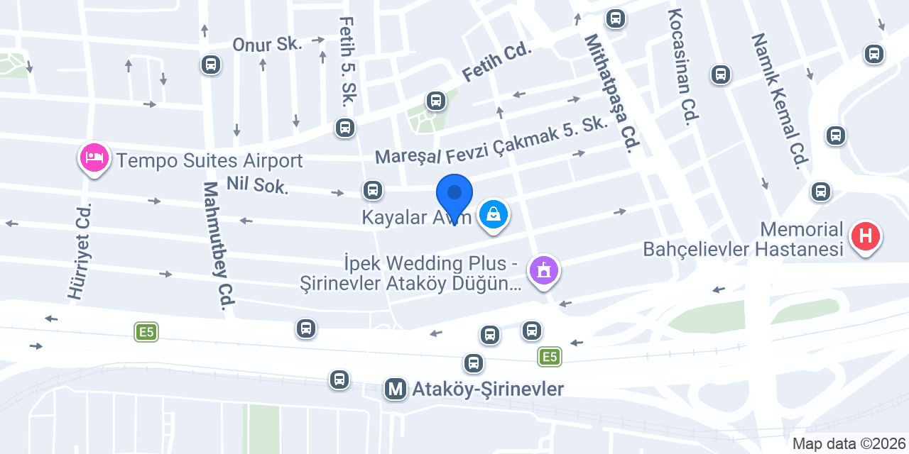 Hayat Elektironik konumu