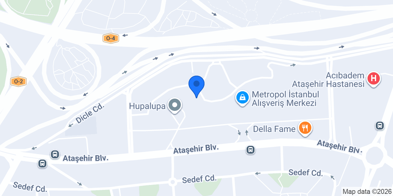 Fenerbahçe Üniversitesi konumu